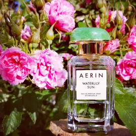 Waterlily Sun - Aerin