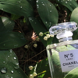 Gris Charnel (Eau de Parfum) - bdk Parfums