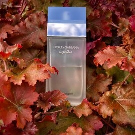 Cinéma (Eau de Parfum) - Yves Saint Laurent