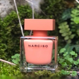 Narciso (Eau de Parfum Ambrée) von Narciso Rodriguez