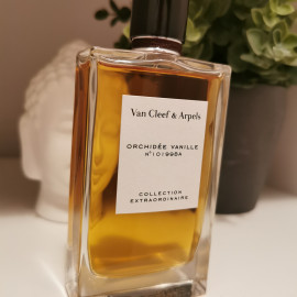 Collection Extraordinaire - Orchidée Vanille - Van Cleef & Arpels