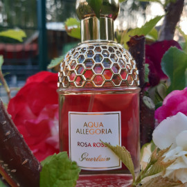 Aqua Allegoria Rosa Rossa - Guerlain