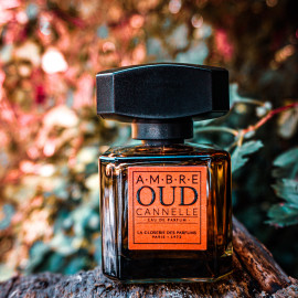 Oud - Ambre Cannelle - La Closerie des Parfums