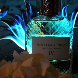 Velvet Mimosa Bloom - Dolce & Gabbana