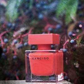 Narciso (Eau de Parfum Rouge) - Narciso Rodriguez