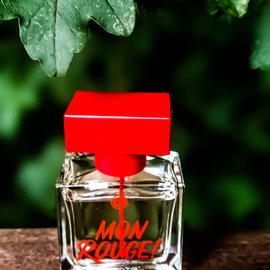 Mon Rouge! by Yves Rocher