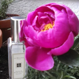 Peony & Blush Suede (Cologne) by Jo Malone