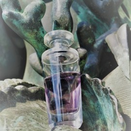 Secrets d'Essences - Iris Noir (Eau de Parfum) - Yves Rocher