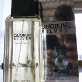 Quorum Silver (Eau de Toilette) - Puig