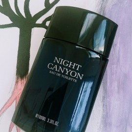 Night Canyon - Real Time