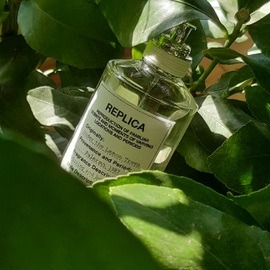 Aqua Millefolia - Le Couvent