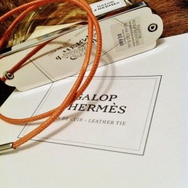 Galop d'Hermès - Hermès