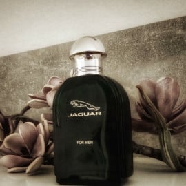 Jaguar for Men (Eau de Toilette) by Jaguar