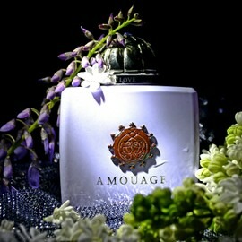Love Mimosa - Amouage
