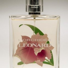 L'Orchidée - Léonard
