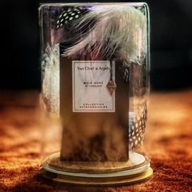 Tobacco Vanille (Eau de Parfum) - Tom Ford