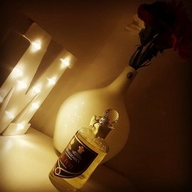 Fetish pour Homme (Parfum) - Roja Parfums