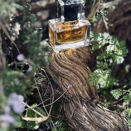 François (2017) - Teone Reinthal Natural Perfume