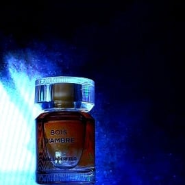 Les Parfums Matières - Bois d'Ambre von Karl Lagerfeld