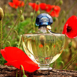 Shalimar Philtre de Parfum - Guerlain