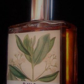 Bay Rum - Olympic Orchids Artisan Perfumes