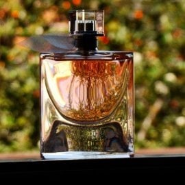 Fraîche Badiane - Maître Parfumeur et Gantier