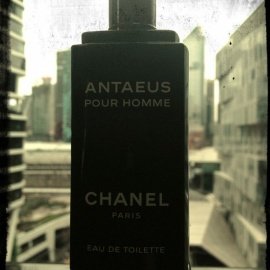 Antaeus (Eau de Toilette) by Chanel