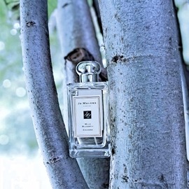 Wild Bluebell (Cologne) - Jo Malone