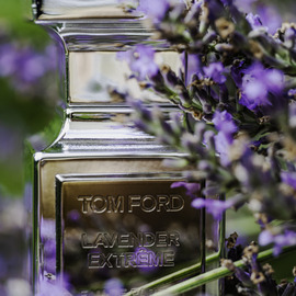 Lavender Extrême by Tom Ford