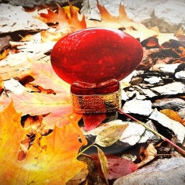 Ruby Red / Red Storm - The House of Oud