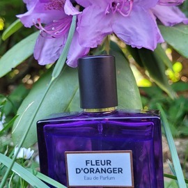 Fleur d'Oranger (Eau de Parfum) - Molinard