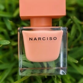 Narciso (Eau de Parfum Ambrée) by Narciso Rodriguez