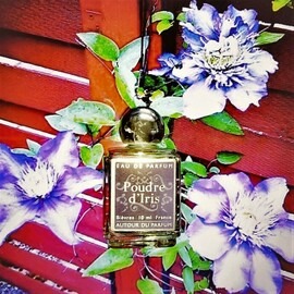 Poudre d'Iris - Autour du Parfum