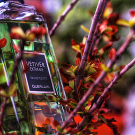 Classique Summer Fragrance 2015 - Jean Paul Gaultier