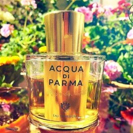 Magnolia Nobile (Eau de Parfum) - Acqua di Parma