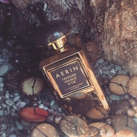 Tangier Vanille d'Or - Aerin
