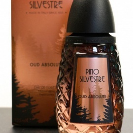 Oud Absolute - Pino Silvestre