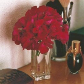Tulpe - Parfum-Individual Harry Lehmann