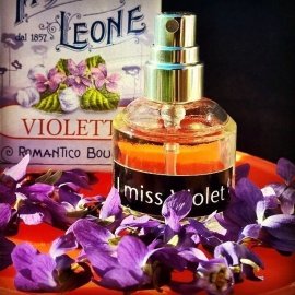 Collection Excessive - I miss Violet - The Different Company