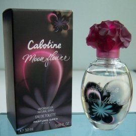 Cabotine Moonflower - Grès