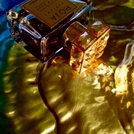 Musk Aoud Absolue Précieux - Roja Parfums