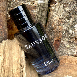 Sauvage (Eau de Toilette) - Dior