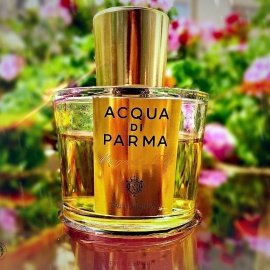 Magnolia Nobile (Eau de Parfum) by Acqua di Parma
