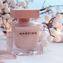 Narciso (Eau de Parfum Poudrée) - Narciso Rodriguez