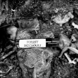 Forest Patchouli - Alkemia